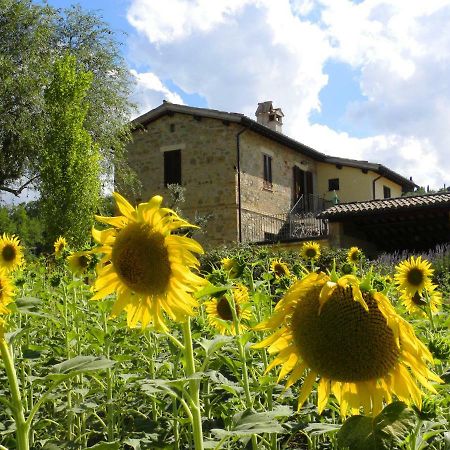 Appartamenti Verde Collina Umbra Bevagna Exterior photo