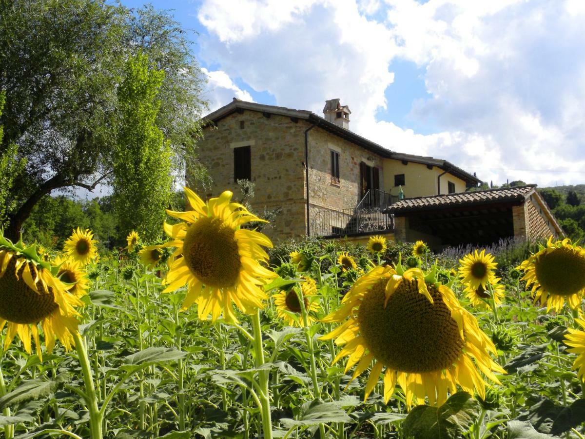 Appartamenti Verde Collina Umbra Bevagna Exterior photo