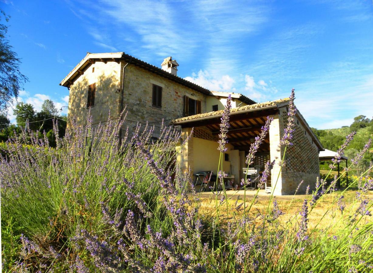 Appartamenti Verde Collina Umbra Bevagna Exterior photo
