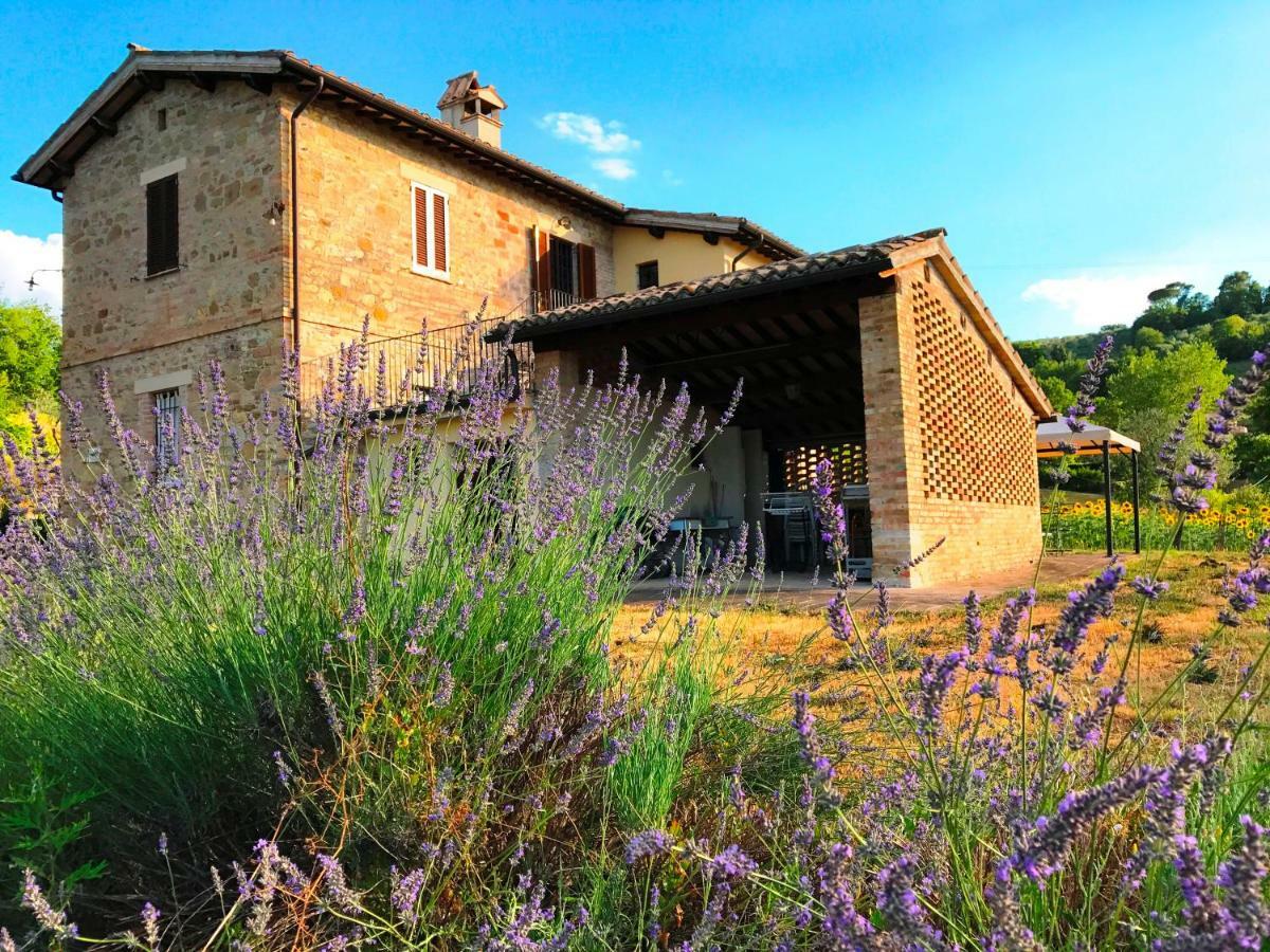 Appartamenti Verde Collina Umbra Bevagna Exterior photo