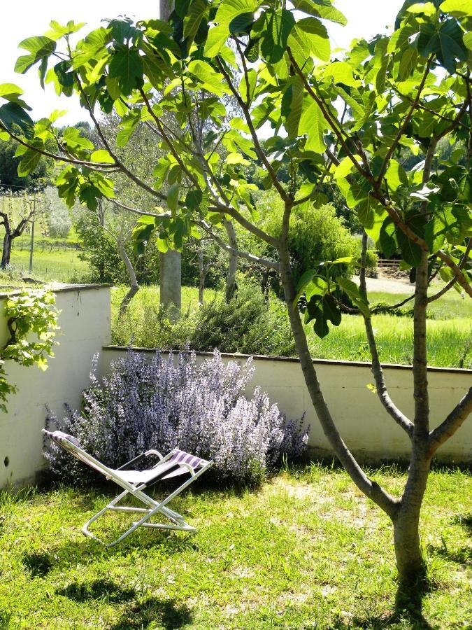 Appartamenti Verde Collina Umbra Bevagna Exterior photo